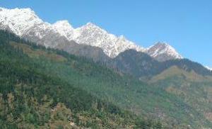 Hotel Surya International Manali